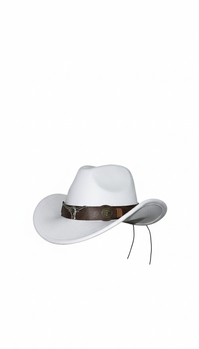 The Sandstone Cowboy